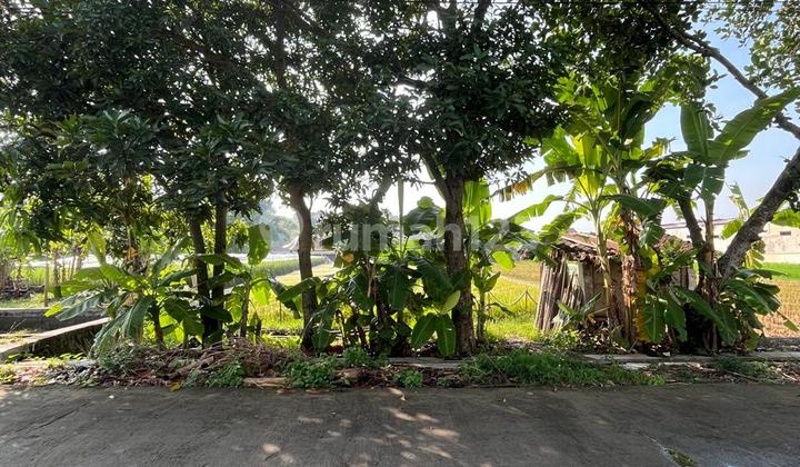 Tanah Cantik Shm Sawah Kotak Persegi - Lokasi Strategis Di Dekat Perumahan Casa Grande Maguwoharjo Depok Sleman