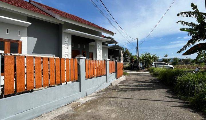 Murah Banget! Rumah Baru Fresh Sejuk Banget View Sawah Dekat Adisucipto Kalitirto Berbah Sleman 2