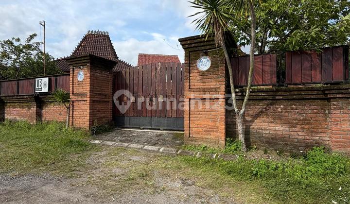 Rumah Dan Joglo Jawa Klasik Lawasan Di Jalan Kabupaten Trihanggo Gamping Sleman Dekat Rsa Ugm