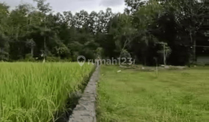 Tanah di Jln Candi Gebang Sleman Dekat Jogjabay