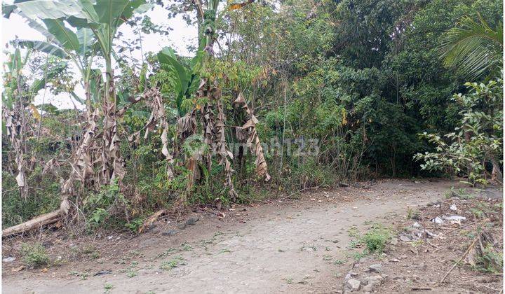 Tanah Murah Sleman Dekat Pasar Jangkang, Cocok Hunian 2