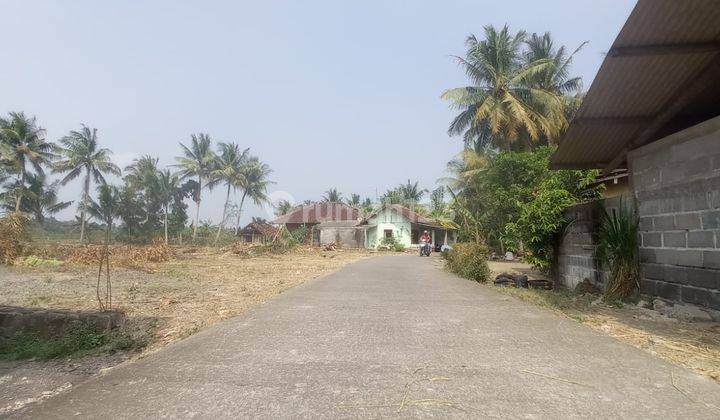 Dekat Bandar Udara Yia , Tanah Murah Jogja Barat Cocok Hunian 1