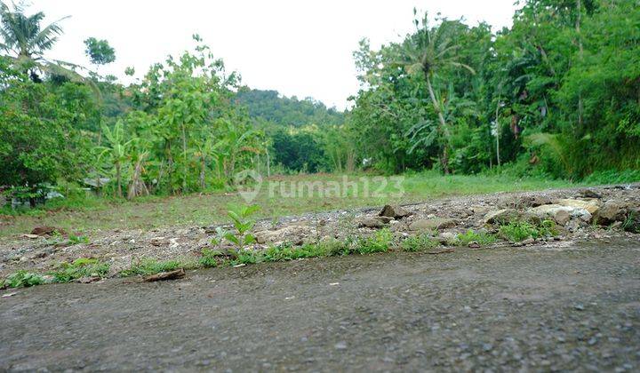 15 menit Puncak Pinus Becici,Tanah Murah bantul Peruntukan Hunian 1