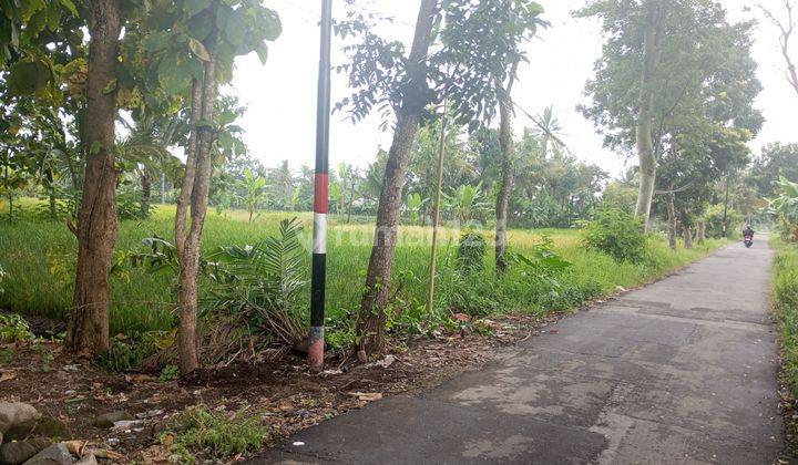 5 Mnt Kampus Uii , Tanah Setrategis Dekat Jogja Eco Park , Sleman 2