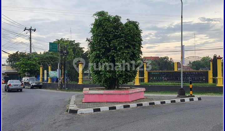 8 Menit UMY, Dijual Tanah Jogja Cocok Hunian Pun Investasi, SHM