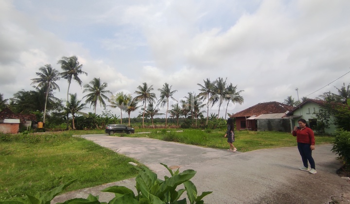 5 Menit Stasiun Wates, Tanah Strategis Investasi, Hunian