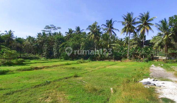 Kavling Terbaik di Donomulyo Kulon Progo  2