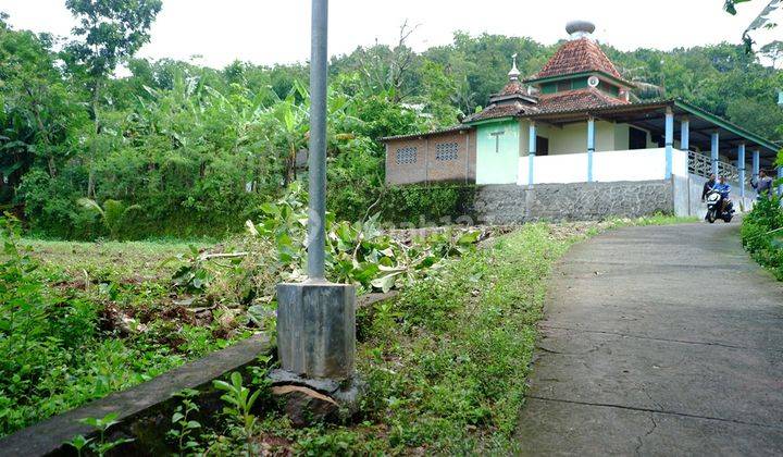 Tanah Murah Dekat Pasar Wukirsari, Bantul , cocok Hunian Nyaman 2