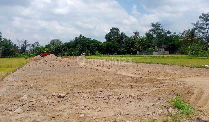 cocok Bangun Hunian/Villa , Tanah View sawah dekat Jogja Eco Park 2