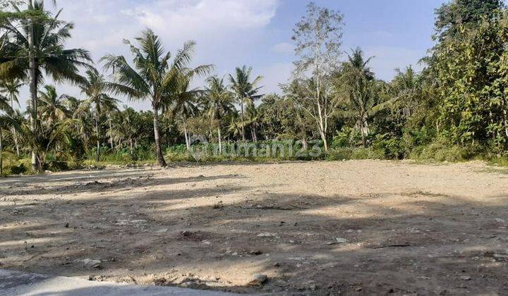 Timur Bandara Yia , Tanah Murah Dekat Uad Kampus Wates , SHM  2