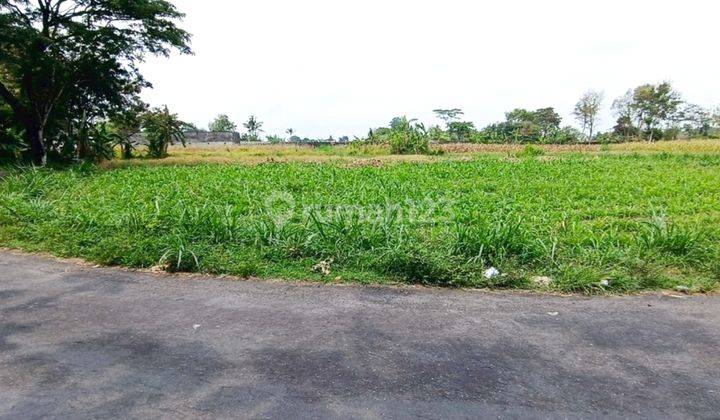 Dekat Jl Palagan , Tanah Murah Sleman , 6 Menit Kampus Uii 2