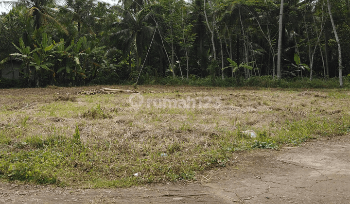 Tanah Dekat Bandara Yia Siap Ajb 1 Jutaan Siap Ajb Non Kavlingan 1