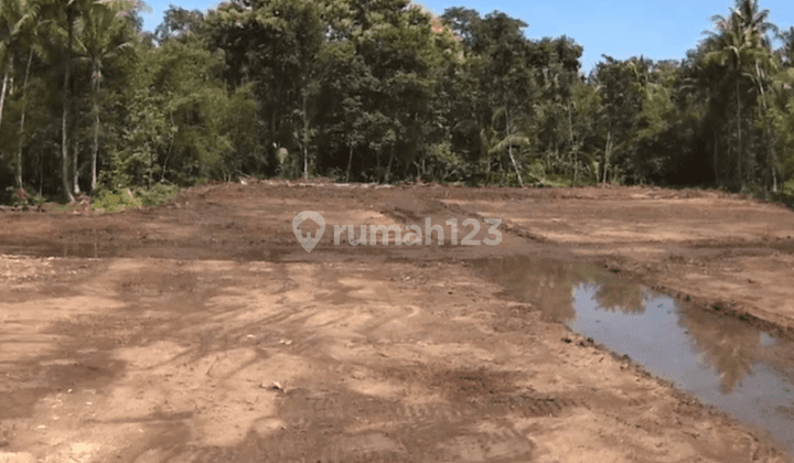 Tanah Di Panjatan Dekat Taman Bendungan Kamijoro SHM Siap Ajb Non Kavlingan Jogja 1