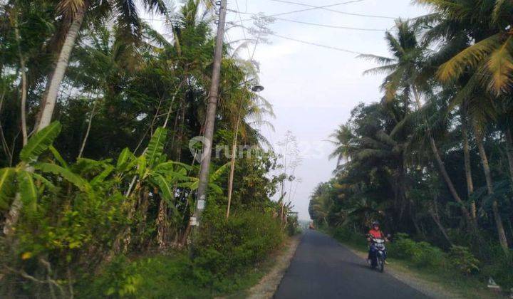 Tanah Di Panjatan Dekat Taman Bendungan Kamijoro SHM Siap Ajb Non Kavlingan Jogja 3