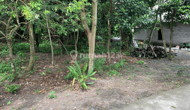 Tanah Siap Bangun Rumah Di Bimomartani Timur Kampus Uii SHM 1