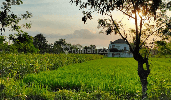 Tanah Kavling Sidokarto, Harga Mulai 2 Jutaann Dekat Puskesmas Godean 2 Jogja 1