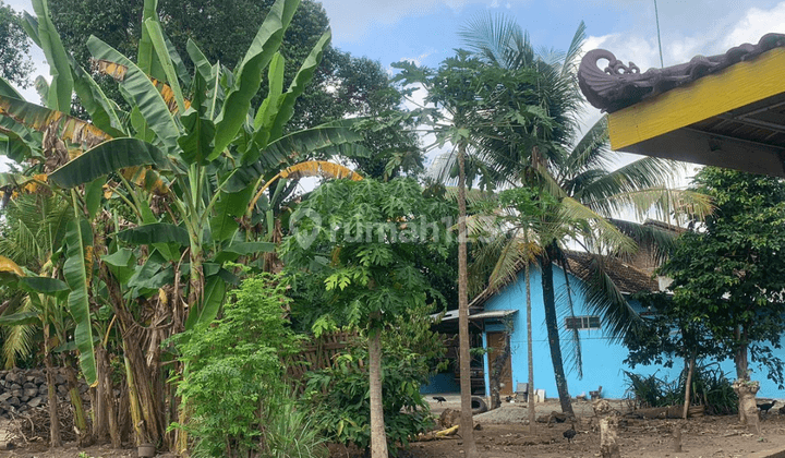 Dijual Tanah Kapling Siap Bangun 5 Menit Dari Pasar Godean 1