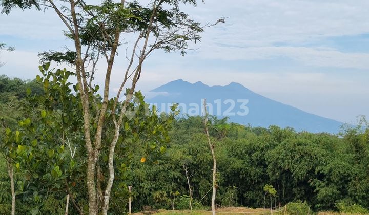 Sell Land in Puncak Bogor with the Best View