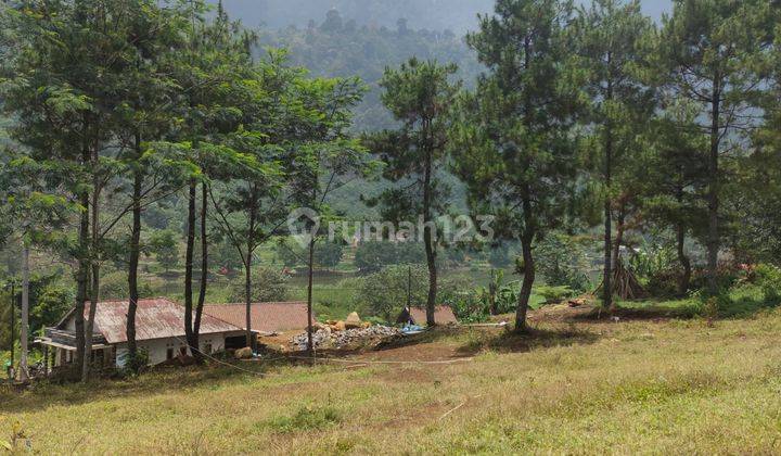 Tanah SHM Di Kawasan Wisata Alam 1000 Mdpl  2