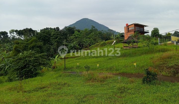 Jual Butuh Tanah 1000 M2 Sertipikat Dekat Jungle Land Sentul