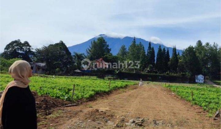 Tanah Kavling Villa Terbaik di Puncak Bogor 2