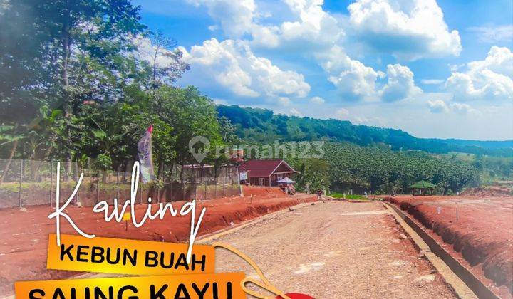 Miliki Segera Kavling Kebun Buah Dan Saung Kayu Unit Terbatas 2