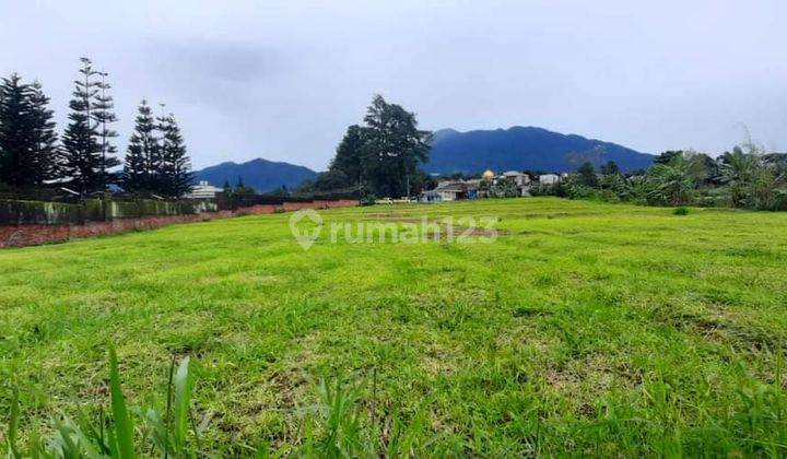 Dapatkan Tanah Puncak Bogor Cocok Untuk Bangun Villa Dan Rumah  2