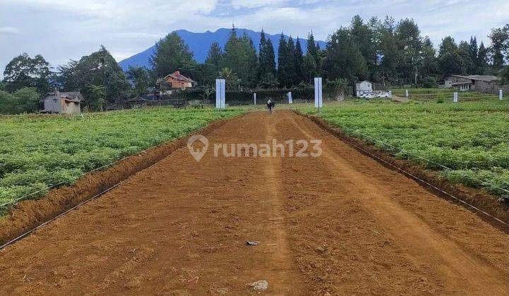 Tanah Kavling Wisata Alam Kawasan Puncak Bogor 2