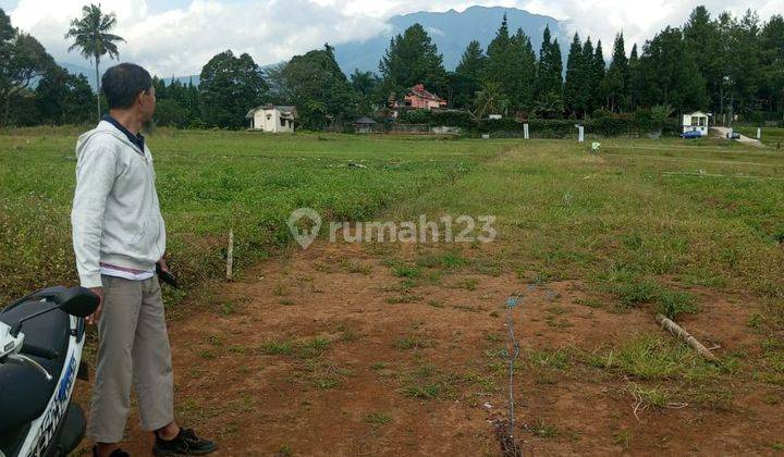 Sebidang Tanah SHM View Pegunungan dekat Jalan Raya 1