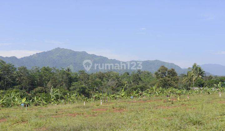 Tanah Murah di Puncak Dua Cocok Untuk Investasi 2
