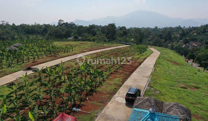 Tanah Murah di Puncak Dua Cocok Untuk Investasi 4