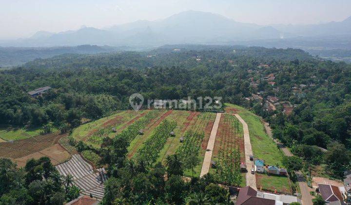 Tanah Murah di Puncak Dua Cocok Untuk Investasi 6