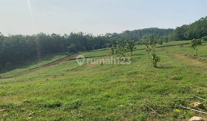 Tanah SHM 100 m² di Dekat Cileungsi Bogor 7