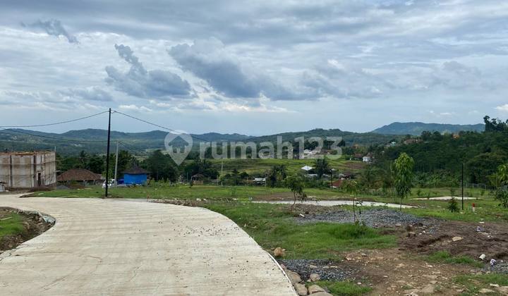Tanah Murah View Mempesona di Nuansa Alam Puncak Bogor 3