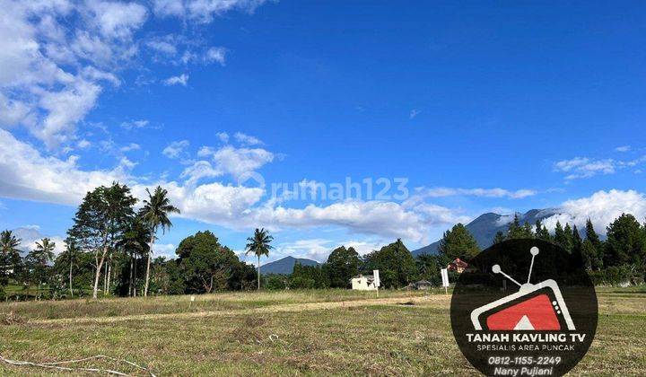 Tanah di Green Mountville Puncak Bogor, Bogor SHM 500 m² 3