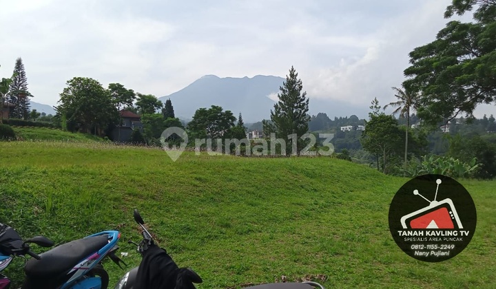 Tanah di Green Mountville Puncak Bogor, Bogor SHM 500 m² 4