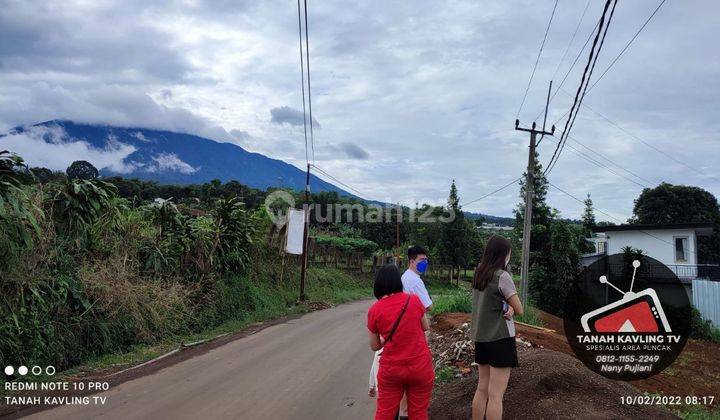 Tanah di Green Mountville Puncak Bogor, Bogor SHM 500 m² 5