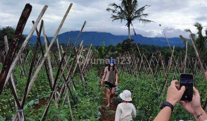 Terlaris Tanah Kavling Villa di Kawasan Wisata Nuansa Alam Puncak 2