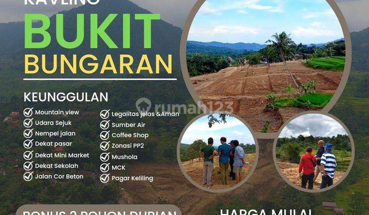 Tanah Kavling Bukit Bungaran Puncak 2 Bogor 2