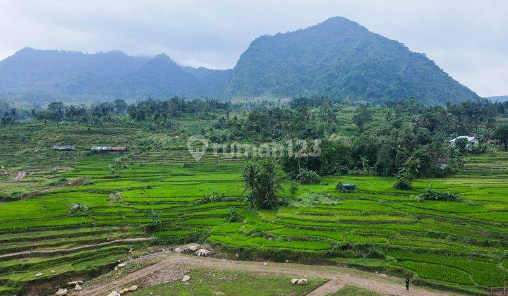 Tanah Kavling Villa Kawasan Wisata Alam Puncak Dua 1