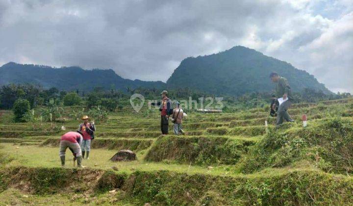 Tanah Murah View Mewah di Nuansa Alam Agro Puncak Dua Bogor 1