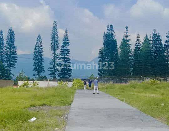 Tanah Komersial Siap Bangun Villa Dengan Harga Promo 6