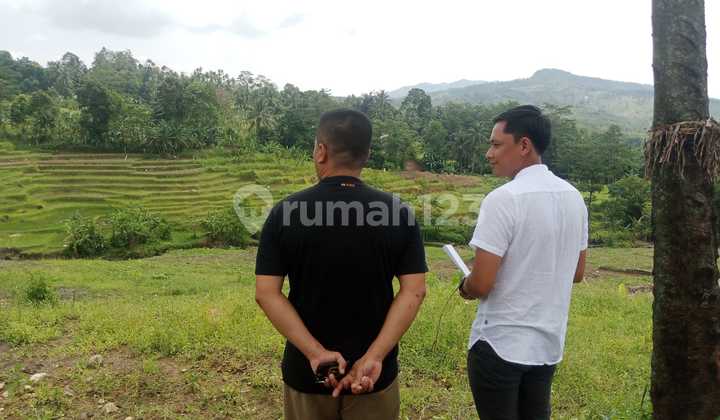 Tanah Kavling Wisata Alam Bukit Bungaran Puncak dua Bogor 5