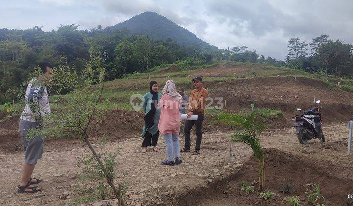 Tanah Kavling Wisata Alam Bukit Bungaran Puncak dua Bogor 6