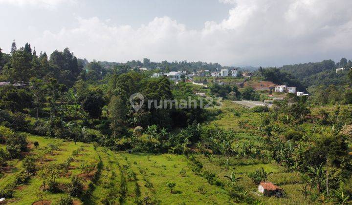 Tanah di Lembah Kuta Puncak 25000 m² SHM Ada Mata Airnya 2