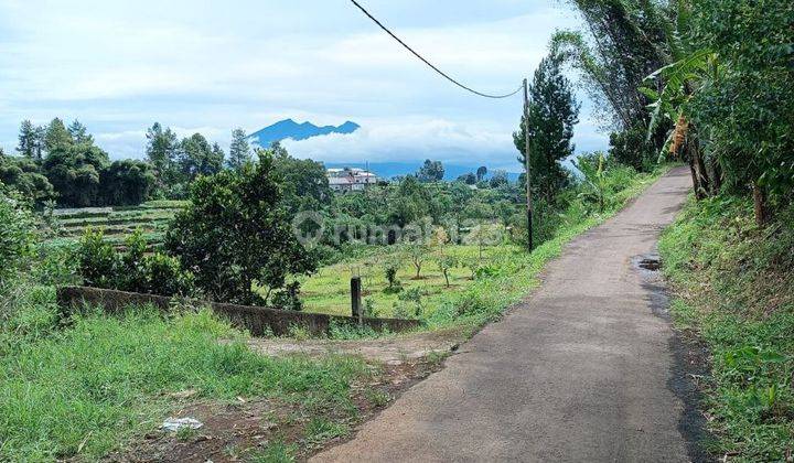 Tanah di Lembah Kuta Puncak 25000 m² SHM Ada Mata Airnya 1