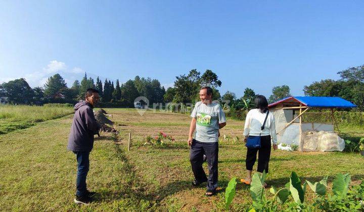 Tanah 300 m² SHM di Puncak Bogor dekat TOL Ciawi 2