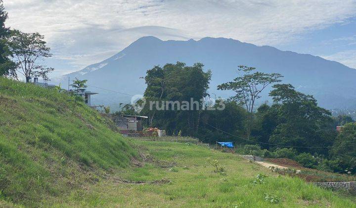 Tanah SHM Berundak Cocok di Bangun Villa di Puncak Bogor 2