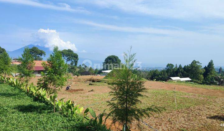 Kavling Kebun Teh Best View Siap Bangun di Puncak Harga Nego! 1