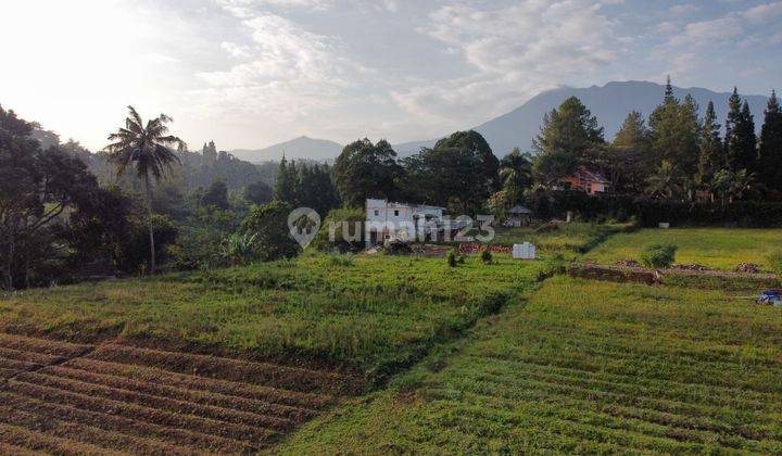 Tanah Kavling Terbesar Dan Satu Satunya Di Puncak 1